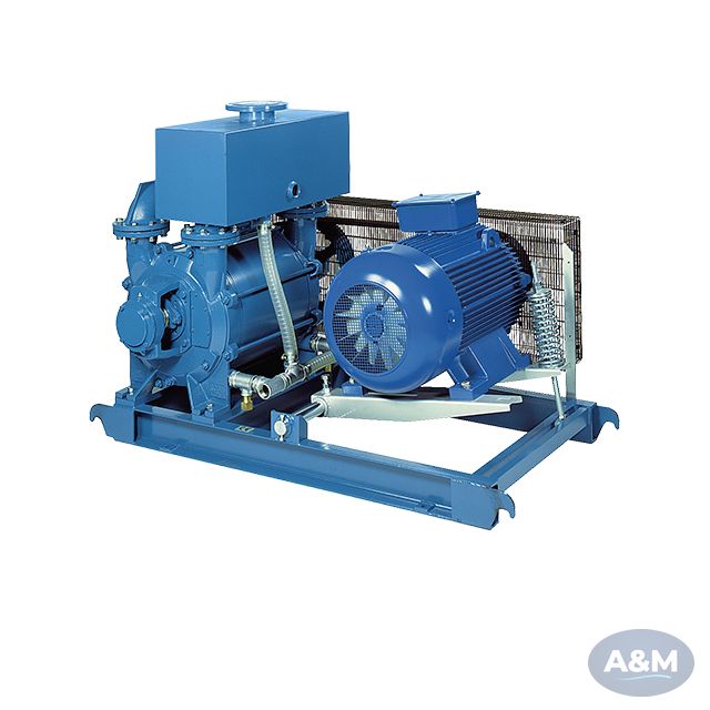 Robuschi LRVS / CRVS Liquid Ring Vacuum Packages