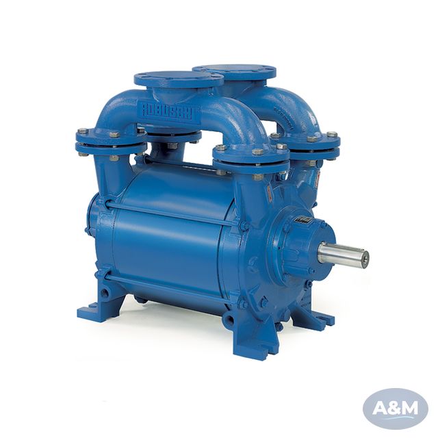 Robuschi RVS Liquid Ring Vacuum Pump