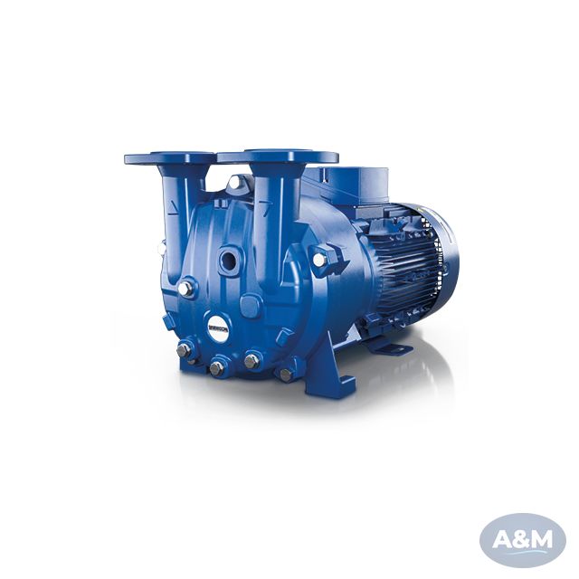 Robuschi RVS Monoblock Liquid Ring Vacuum Pump